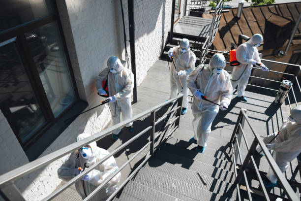Best Mold Damage Restoration  in Angwin, CA