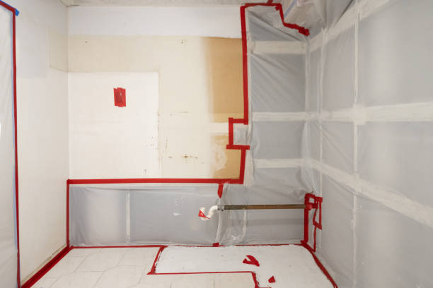 Best Real Estate Mold Inspection  in Angwin, CA